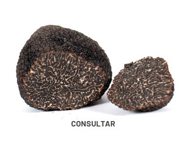 TUBER MELANOSPORUM VITT (Black truffe)