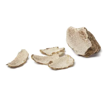 TUBER MAGNATUM PICO