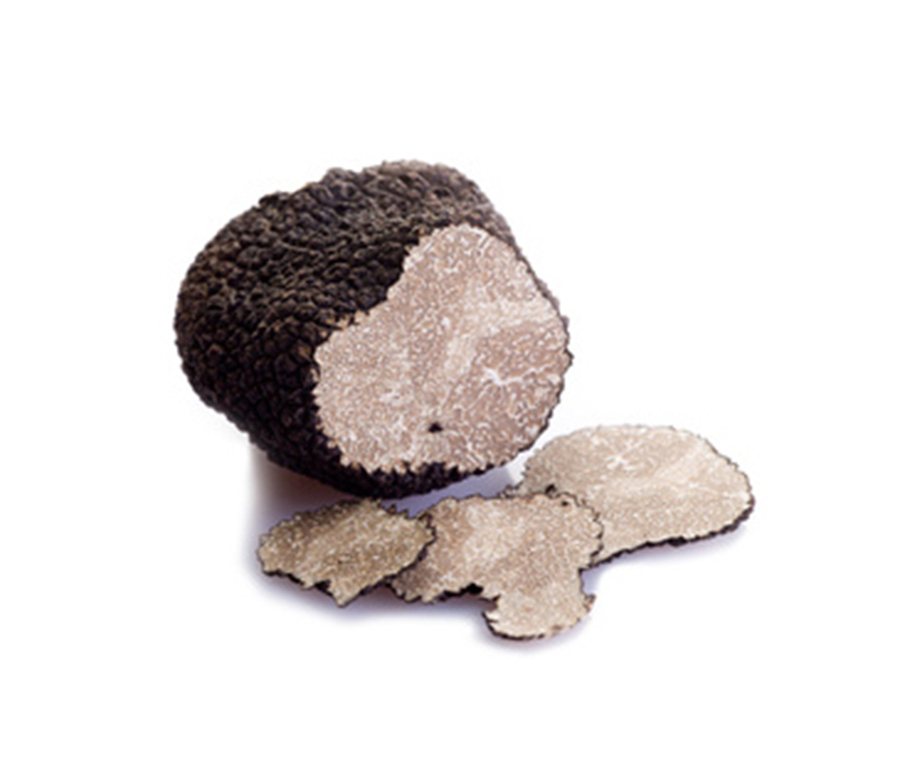 TUBER AESTIVUM VITT (Trufa de verano) CONSULTAR