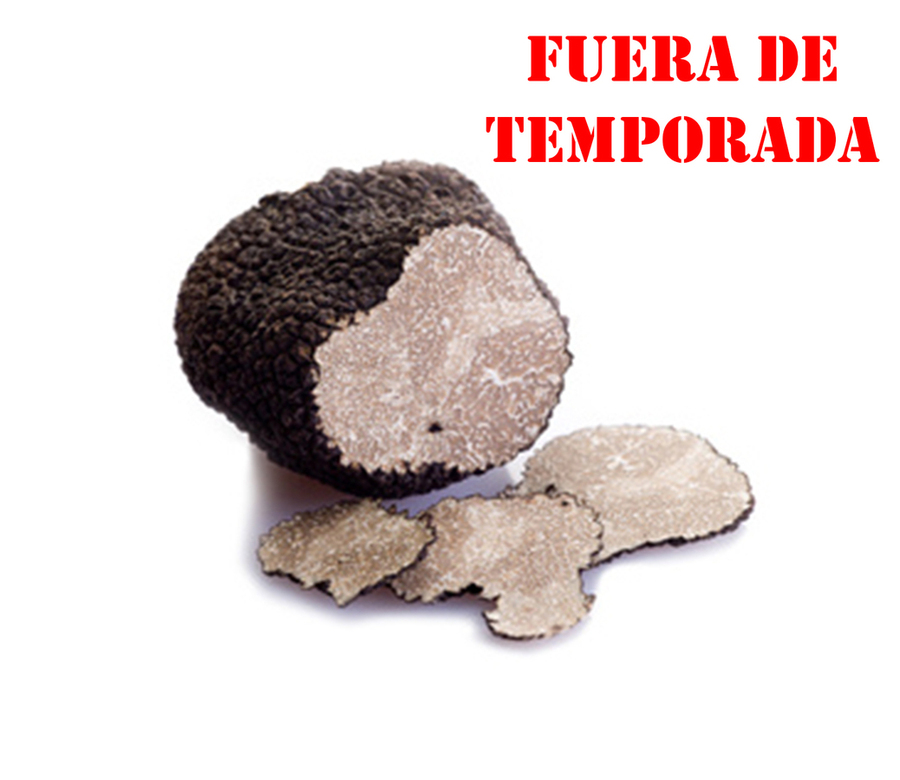 TUBER AESTIVUM VITT (Trufa de verano) CONSULTAR